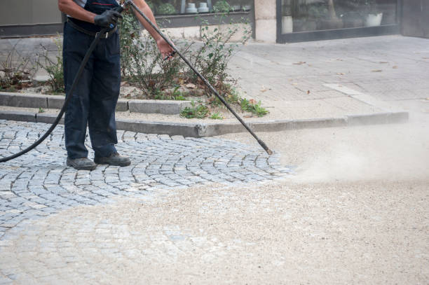 Best Animal Enclosure Cleaning  in Farr West, UT